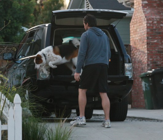 Tom_Welling_range_rover_dogs