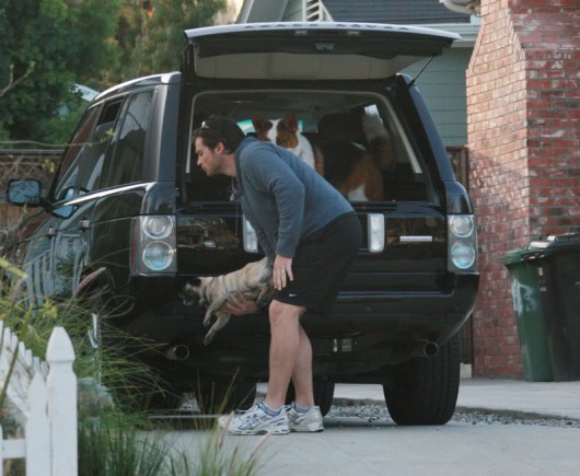 Tom_Welling_range_rover_dogs_black